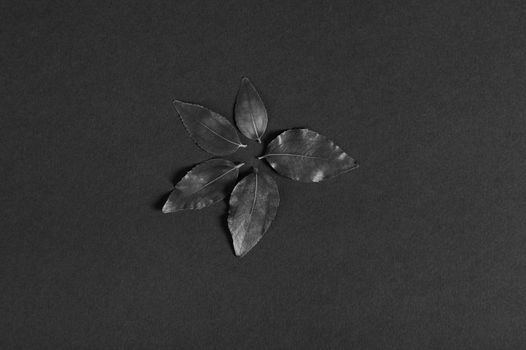 Leaves of black color lined around in the shape of a flower, on a black background. Flat lay. Copy advertising space. Still life