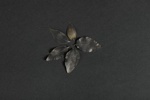 Still life with leaves of black color with rust lined around in the shape of a flower, on a black background. Flat lay. Copy ad space