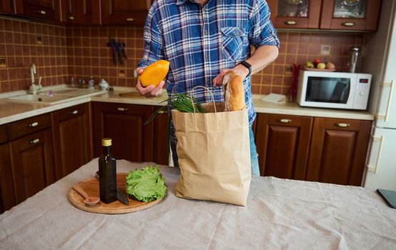 Close-up unrecognizable man in blue checkered shirt, arriving home after shopping for grocery, standing at a kitchen island and unpacking groceries, sorting organic vegetables and healthy food