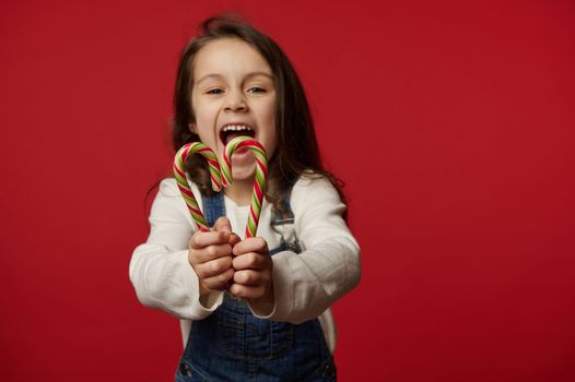 Striped candy canes in the hands of blurred Caucasian funny overjoyed baby girl with long hair, in white pull and blue deinm overalls, holding out at camera Christmas lollipops over red background