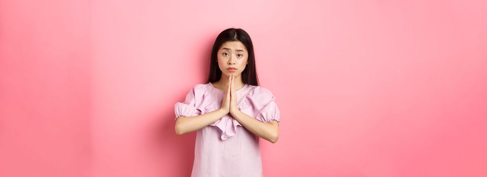 Please help me. Cute asian woman begging you, holding hands in pray and asking for favour, need something, standing against pink background.