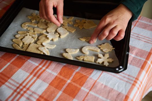 Close-up woman's hands put gingerbread cookies on baking sheet. Christmas and New Year celebration traditions. Traditional festive food making, family culinary