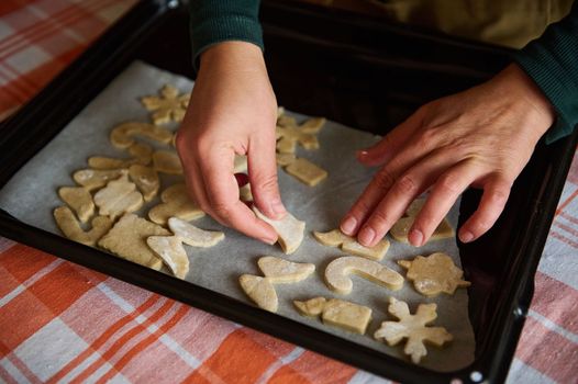 Selective focus on chef confectioners hands, over a baking sheet with carved molds of gingerbread dough, before placing it in the oven. Christmas baking. Festive culinary. Christmastime.