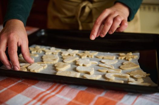 Details: Hands of a housewife housewife put cookies cut out of gingerbread dough on the baking sheet, preparing Christmas pastries in the home kitchen. Baking concept