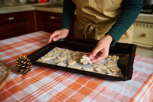 Closeup housewife in chef's apron stands by kitchen table with a baking sheet with carved molds of gingerbread dough, before placing it in the oven. Christmas baking. Festive culinary. Christmastime.