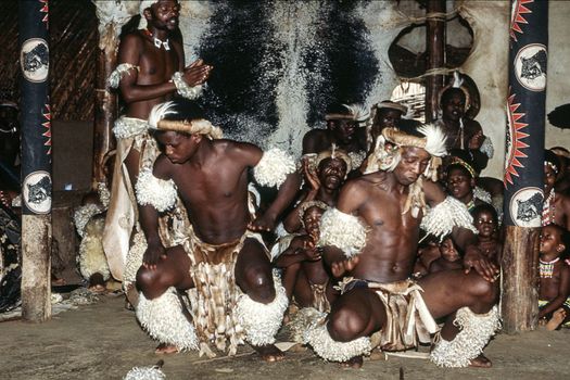 Zulu people at the Shakaland Zulu Village, Nkwalini Valley, Kwazulu Natal, South Africa.
