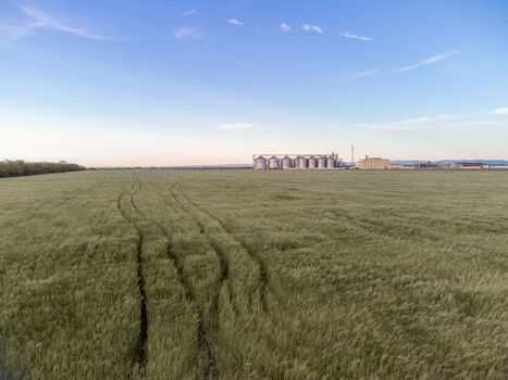 Grain elevator. Metal grain elevator in agricultural zone. Agriculture storage for harvest. Grain silos on green nature background. Exterior of agricultural factory