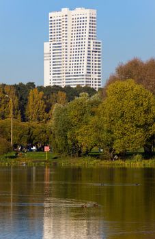 Park with pond and hight rise building at background