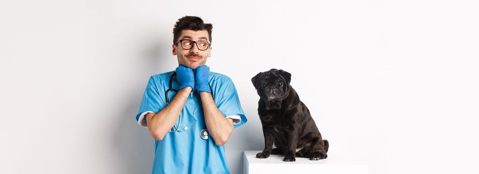 Image of handsome male doctor veterinarian looking at cute black pug dog sitting on table, admiring puppy cuteness, standing over white background.