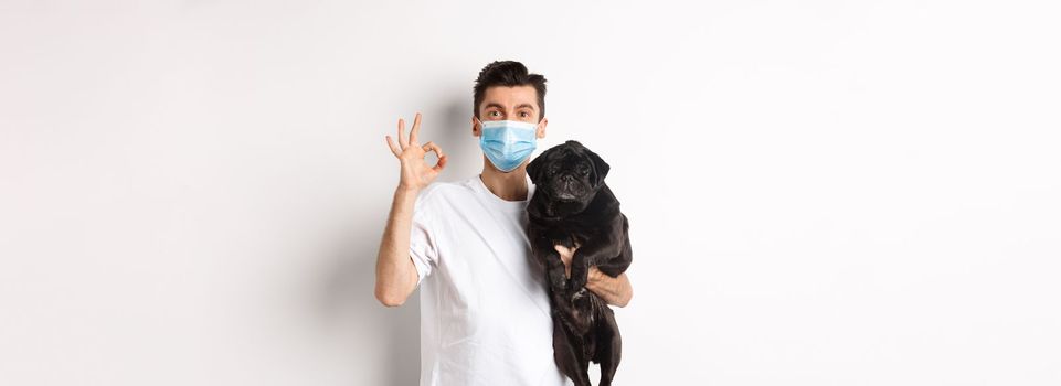 Covid-19, animals and quarantine concept. Young man in medical mask holding cute black pug dog, showing okay sign, like and approve, standing over white background.