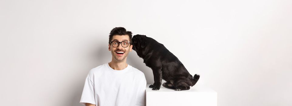 Image of cute black pug dog whispering at owner ear, man looking amazed and smiling, standing over white background.