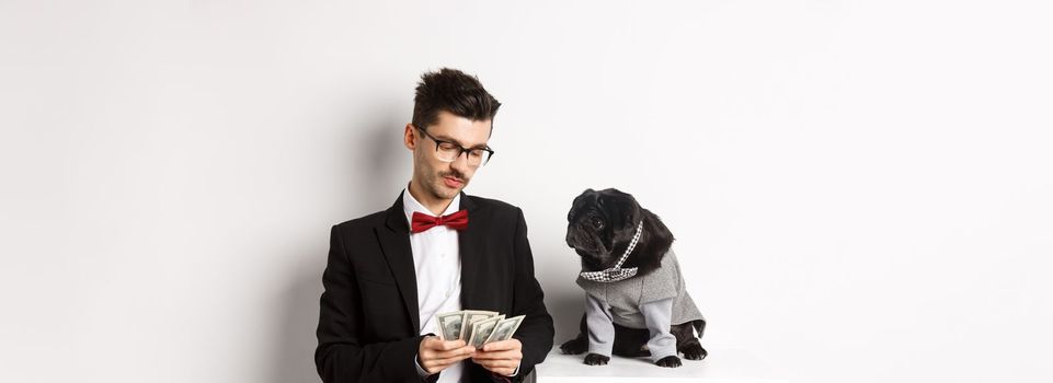 Handsome young man in suit standing near black pug in costume and counting money, working on parties, posing over white background.