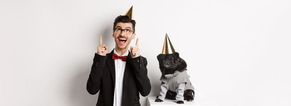 Cute black pug dog wearing party cone and standing near happy owner, man pointing fingers up at copy space, celebrating birthday, white background.