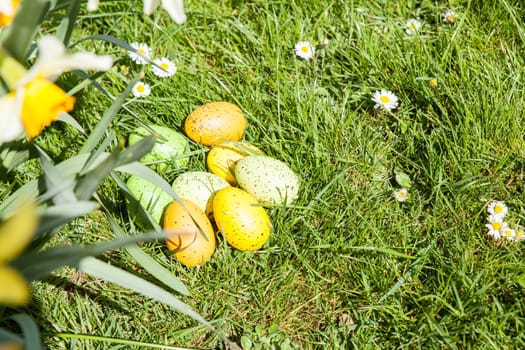 colored Easter eggs hidden in flowers and grass