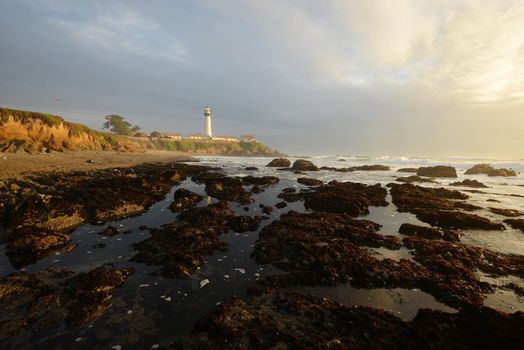 Pigeon Point Lighthouse at sunset