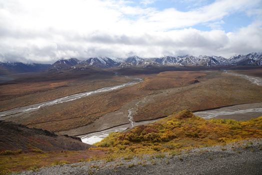 river delta in denali national park alaska