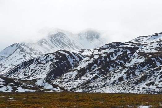 snow mountain landscape in denali national park