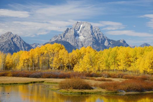 autumn in grand teton national park