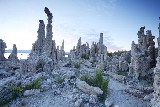 morning sunlight at mono lake tufa limestone