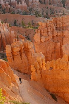 bryce canyon hoodoo at sunrise