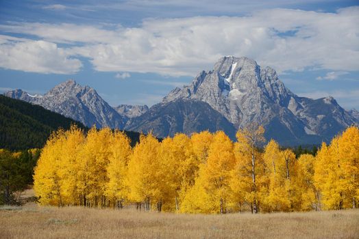 autumn in grand teton national park