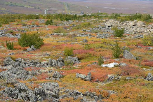 alaskan tundra in autumn