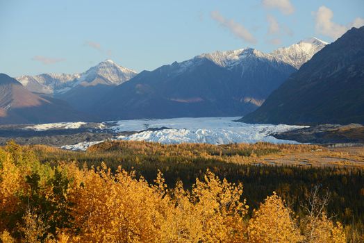 autumn at matanuska glacier in alaska