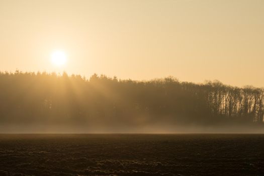 country landscape in the morning in the mist