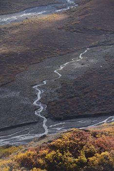 river delta in denali national park alaska