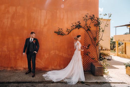 Wedding couple near a Villa in France.Wedding in Provence.Wedding photo shoot in France.