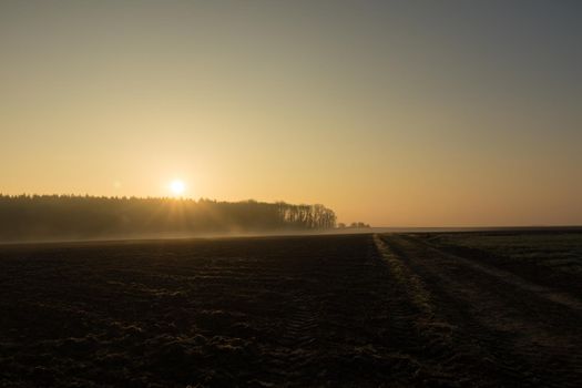 country landscape in the morning in the mist