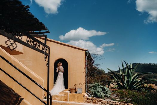 a beautiful bride with pleasant features in a wedding dress is photographed in Provence. Portrait of the bride in France.