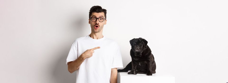 Happy young man showing his cute dog, pointing finger at black pug and staring amazed, standing over white background.