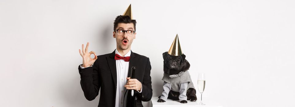 Small black dog wearing party hat and standing near happy man celebrating holiday, owner showing okay sign and holding champagne bottle, white background.