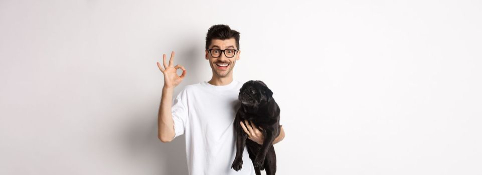 Cheerful handsome man holding dog and showing okay sign, approve or recommend pet related product, standing over white background.