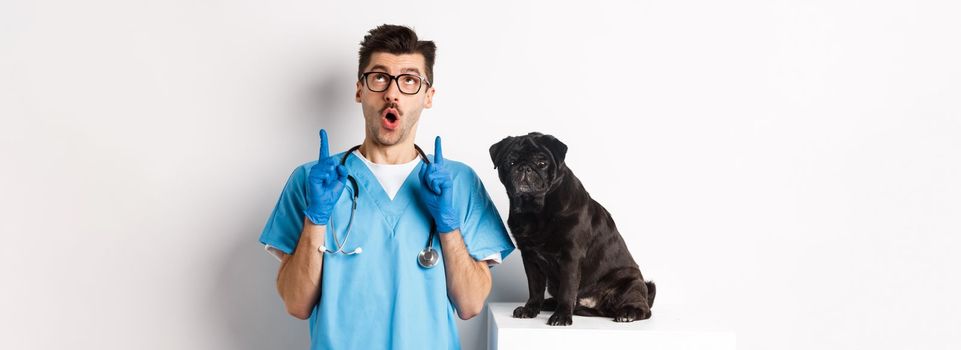 Handsome young doctor at vet clinic pointing fingers up and looking amazed, standing near cute black pug dog, white background.