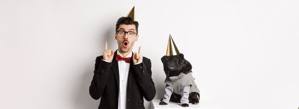Cute black pug dog wearing party cone and standing near happy owner, man pointing fingers up at copy space, celebrating birthday, white background.