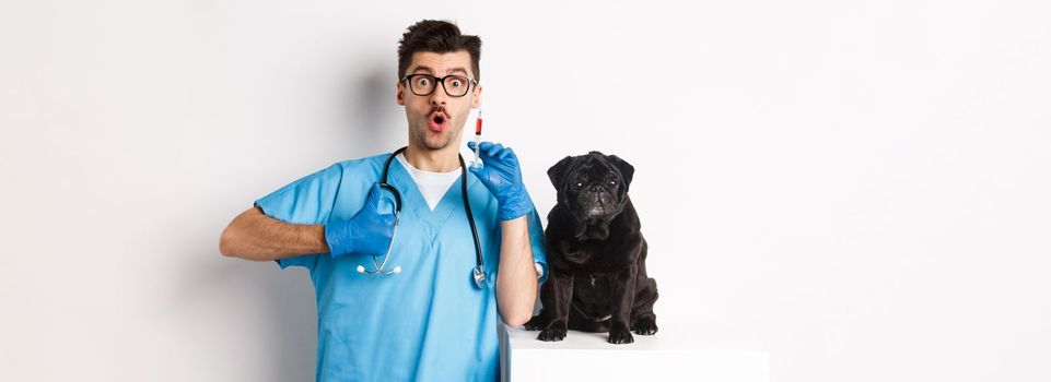 Handsome male doctor veterinarian holding syringe and standing near cute black pug, vaccinating dog, white background.