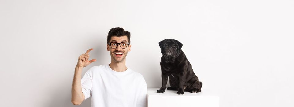 Happy dog owner sitting near cute black pug, smiling and showing small little size, white background.