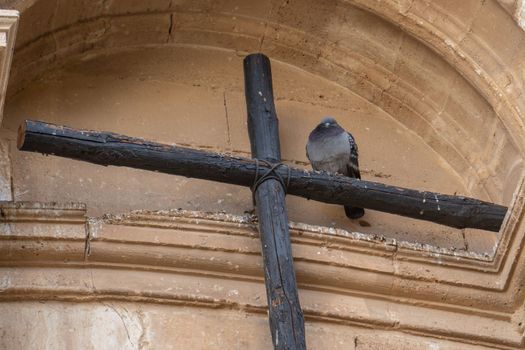 dove perched on a Christian cross on a church façade