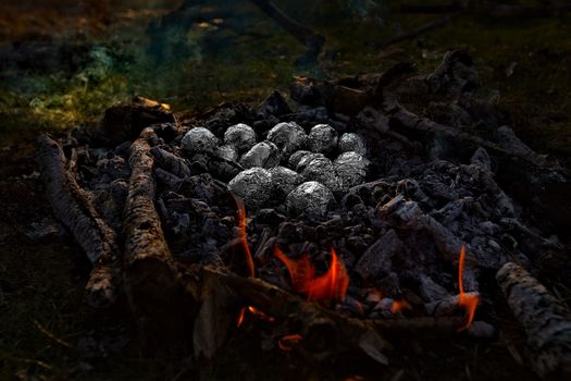 Fried potatoes wrapped in foil in a fire. The family, mother and daughter, for the weekend went out into the countryside for a picnic, sit by the fire in the wild with a tent, fry potatoes, drink hot tea. High quality photo