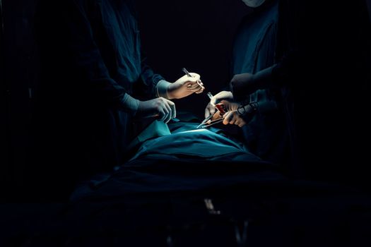 Surgical team performing surgery to patient in sterile operating room. In a surgery room lit by a lamp, a professional and confident surgical team provides medical care to an unconscious patient.