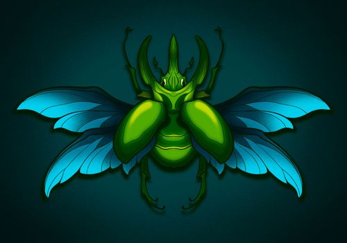 bright shiny green beetle with wings detachment cetonia aurata illustration