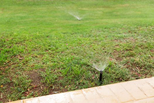 Sprinkler in garden watering the lawn. Automatic watering lawns concept.