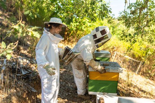 beekeeper setting up hive and assistant next to him with the bee hive smoker