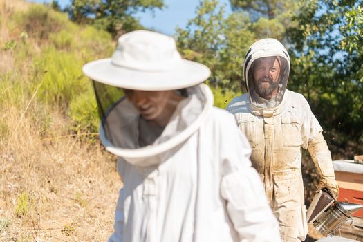 Beekeeper and an assistant wearing safety uniform while working on a field