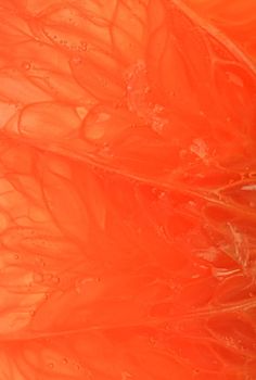 Grapefruit close-up. Slice of blood red ripe grapefruit. Texture of red juicy grapefruit. Macro vertical image.