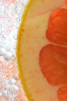 Close-up of fresh grapefruit slice on white background. Slice of red grapefruit in sparkling water on white background, close-up. Vertical image.