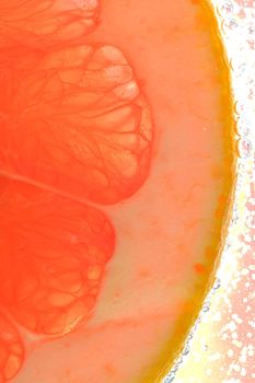 Close-up of juicy grapefruit slice on white background. Slice of red grapefruit in sparkling water on white background, close-up. Vertical macro image.