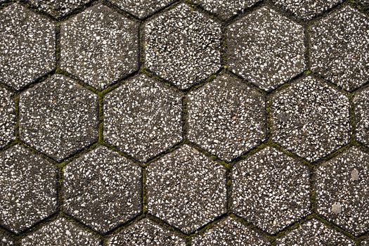 Hexagonal floor tile with grass and moss. Can use for add text and abstract background with copy space.